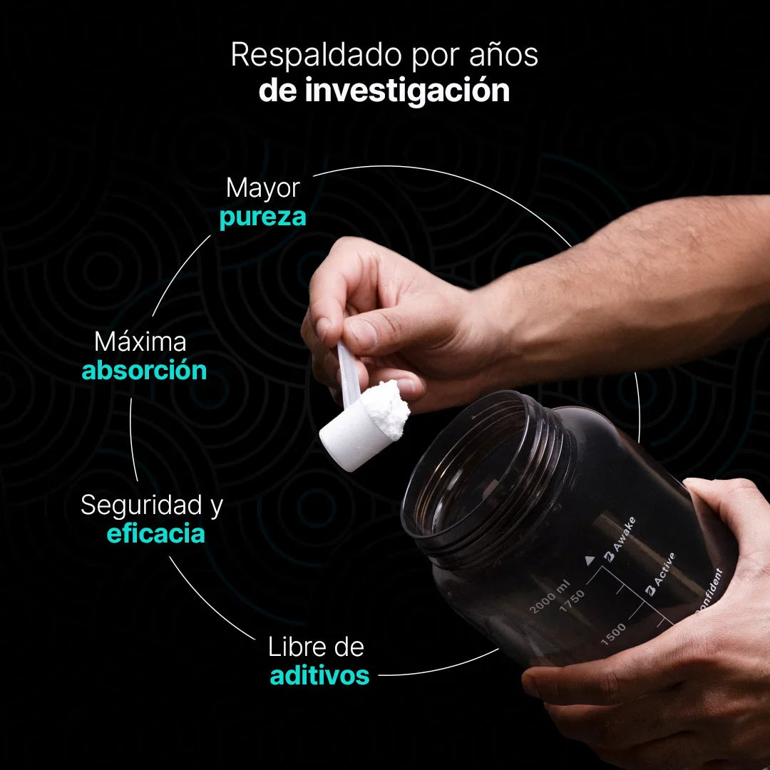 CREATINE MONOHYDRATE | Creatina monohidrato micronizada 600gr 120 servicios
