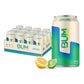 BUM ENERGY ⚡ | 12 Pack de bebidas energéticas 12oz (355ml)
