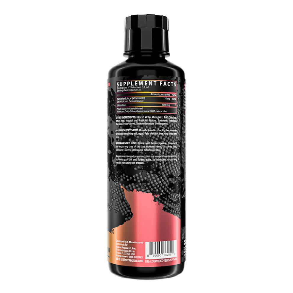 L-CARNITINE 3000 | Carnitina 3,000mg 31 servicios