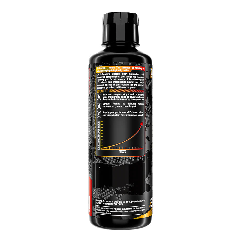 L-CARNITINE 3000 | Carnitina 3,000mg 31 servicios