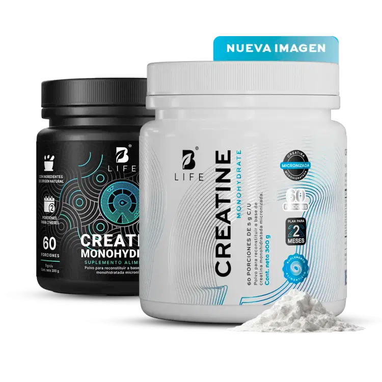 CREATINE MONOHYDRATE | Creatina monohidrato micronizada 300gr 60 servicios