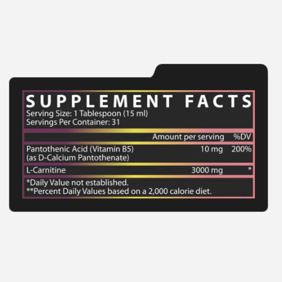 L-CARNITINE 3000 | Carnitina 3,000mg 31 servicios