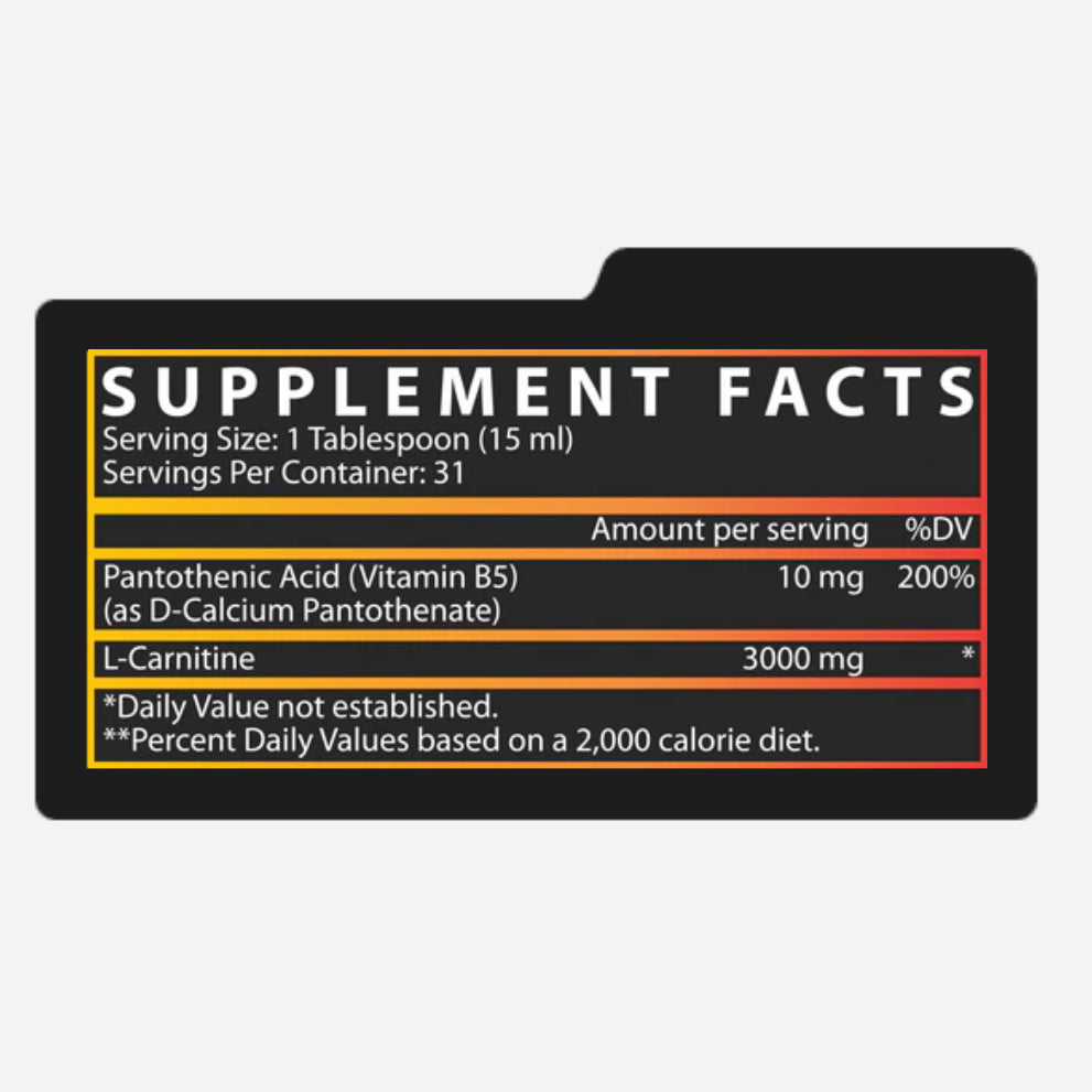 L-CARNITINE 3000 | Carnitina 3,000mg 31 servicios